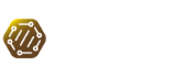 DataSEPIA logo